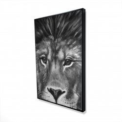 Lion portrait