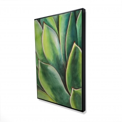 Plante d'agave à l'aquarelle