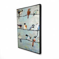 Petits oiseaux colorés