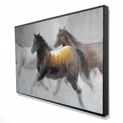 Troupeau de chevaux sauvages
