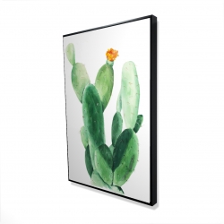 Cactus en fleuraison