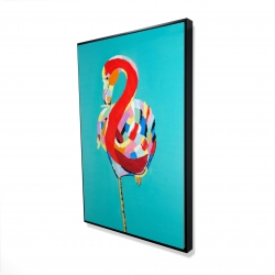 Flamant coloré