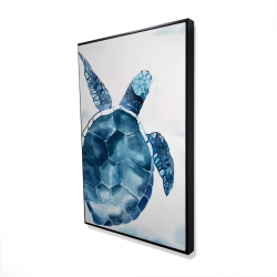 Tortue bleu
