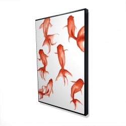 Petits poissons rouge