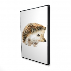 Watercolor hedgehog