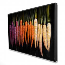 Colorful carrots