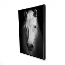 Monochrome horse