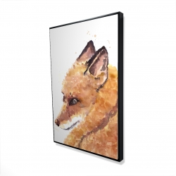 Renard