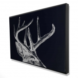 Blue roe deer plume