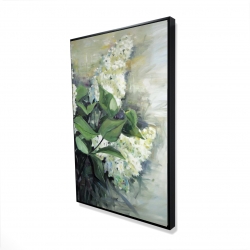 Lilas blanc