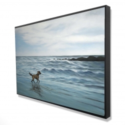 Dog on the beach