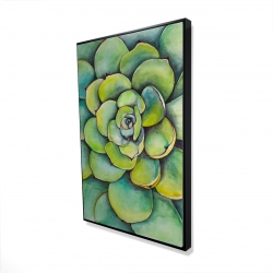 Succulent à l'aquarelle
