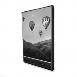 Air balloon landscape