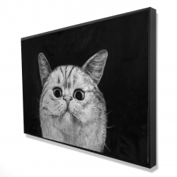 Watching cat