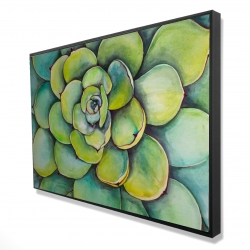 Succulent à l'aquarelle