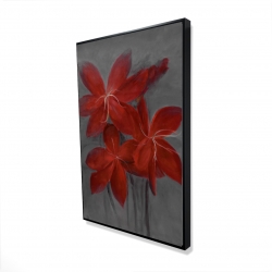 Asiatic lily