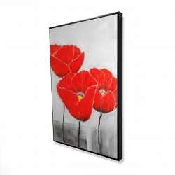Three poppies