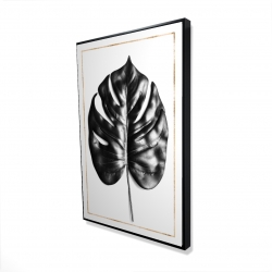 Philodendron à feuilles divisées avec lignes dorées