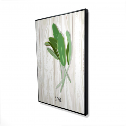 Sage on wood