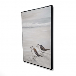Deux oiseaux bécasseau