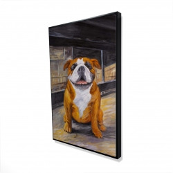 Bouledogue souriant