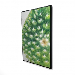 Mini cactus à l'aquarelle