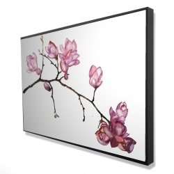Branch of cherry blossoms
