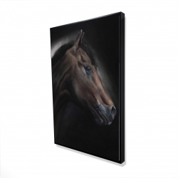 Cheval solitude