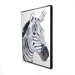 Watercolor zebra