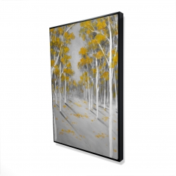 Yellow birch forest