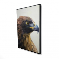 Brown-headed eagle