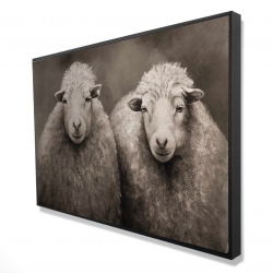 Moutons sépia