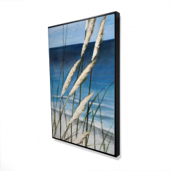 Plante oyat dans le vent sur la plage