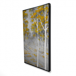 Birch forest