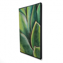 Plante d'agave à l'aquarelle