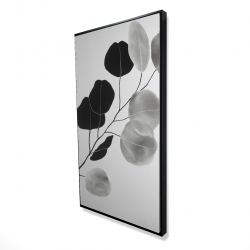 Branche en tons de gris et feuilles rondes