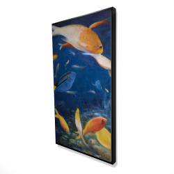Colorful fish under the sea