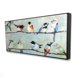 Petits oiseaux colorés