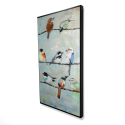 Petits oiseaux colorés