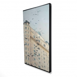 Birds flying in front of a building