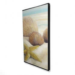 Vue d'une étoile de mer et de coquillages sur la plage