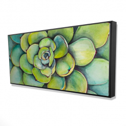Succulent à l'aquarelle