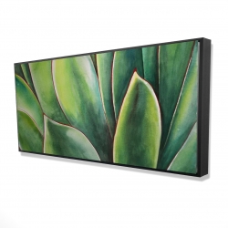 Plante d'agave à l'aquarelle