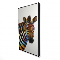 Colorful profile view of a zebra