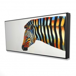 Colorful zebra