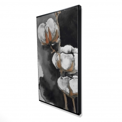 Watercolor cotton flowers