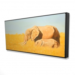 éléphant et son tout petit
