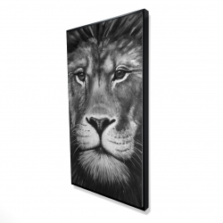 Lion portrait