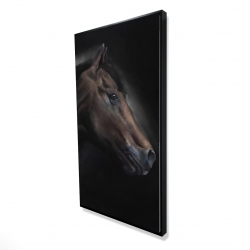 Cheval solitude