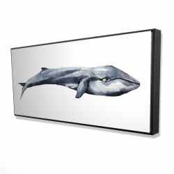 Baleine en aquarelle